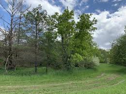 Maybe you would like to learn more about one of these? Hubbard Lake Real Estate Hubbard Lake Mi Homes For Sale Zillow