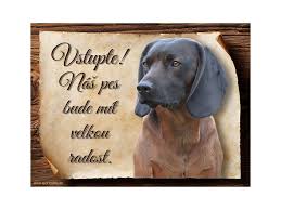 Image result for anglický barvář