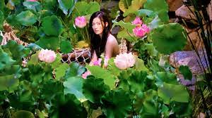 The legend of the blue sea subbed episode listing is located at the bottom of this page. The Legend Of The Blue Sea Netflix