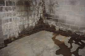 First, check whether you have footing drains, underground pipes installed when the house was built to carry water away from the foundation. Water Proofing Basement Basement Waterproofing Costs