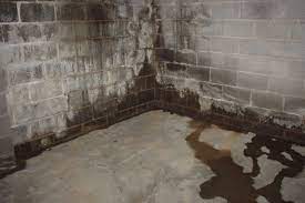 Basement waterproofing is very important for any home as by waterproofing your basement you regain an entire floor of usable space and also make sure that your foundation prevents any flooding. Water Proofing Basement Basement Waterproofing Costs