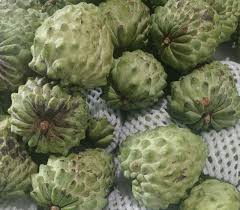 Image result for Annona squamosa