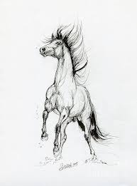 Pin By Christina Jones On Drawing Techniques In 2020 Horse Art Horse Drawings Animal Drawings Sketches