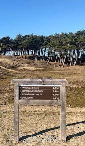 Pin Op Nationaal Park Zuid Kennemerland