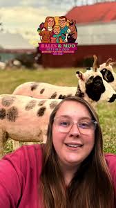 Metaphor Why Jacob Put Stripes in Spots