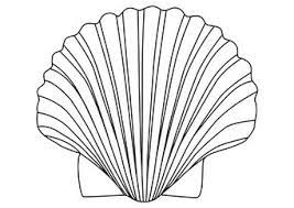 More 100 coloring pages from nature coloring pages category. Coloring Page Shell Of Saint James Img 27179 Seashells Outline Shell Drawing Seashell Clipart