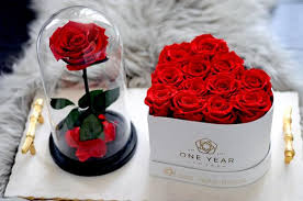 Maybe you would like to learn more about one of these? How Do Roses Last For One Year With No Watering One Year Roses