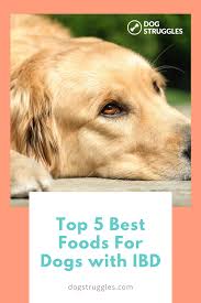 Pin On Dog Nutrition