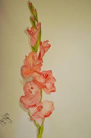 Gladiolus Is One Of The Most Prettiest Flowers According To Me I Was Inspired To Draw It Becaus Gladiolus Flower Tattoos Gladiolus Tattoo Birth Flower Tattoos