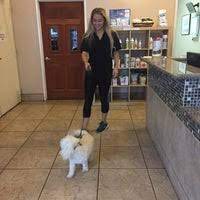 Check spelling or type a new query. Huntington Pet Vet Veterinarian In Huntington Beach