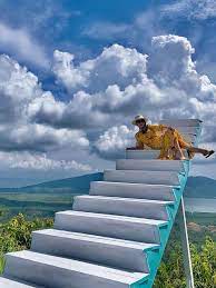 Discover the best of tuaran so you can plan your trip right. Peak Of Hope Tuaran Posts Facebook