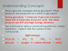 What happens during the process of glycolysis? Cellular Respiration And Photosynthesis Ppt Download