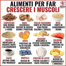 Le proteine durante l'allenamento il fabbisogno proteico è più elevato: Pin Su Menu Setemana