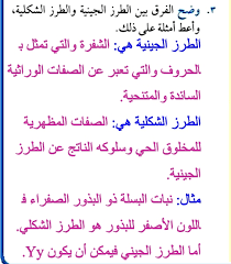 وضح الفرق بين الطرز الجينيه والطرز الشكليه مجتمع الحلول