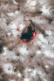 Are you searching for white christmas png images or vector? Hd Wallpaper Red Bauble On White Christmas Tree Plant Ornament Fir Abies Wallpaper Flare