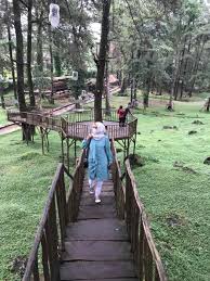 Kawasan hutan desa setianegara sangat cocok untuk menenangkan diri. M Srk1nsbxgvmm