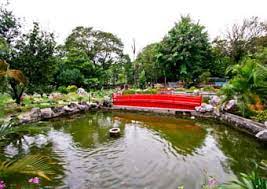 Ipoh City Attration Japanese Garden