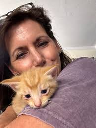 Adorable cats named after siblings