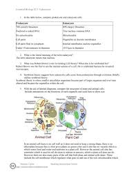 It is enclosed by two membranes in an envelope. Eukaryote Worksheet Word