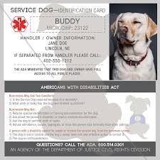 Id Card Service Dog Medical Alert Service Dogs Dog Training Medication For Dogs
