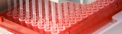 Eine testreihe startet an der uniklinik in tübingen. Curevac Hofft Auf Impfstoff Zulassung Im Mai Rtf 1