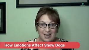 How Emotions Affect Show Dogs Live Talk with Vicki Ronchette
