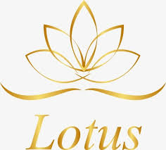 Golden Lotus Logo Decoration Vector Golden Png And Vector Lotus Flower Logo Lotus Logo Lotus Flower Art