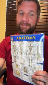 Will Weston Course for Anatomy