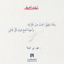 من اجمل ابيات الشعر لـ محمد ابو العلا عالم الأدب Words Quotes Wisdom Quotes Life Wisdom Quotes