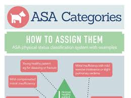 Image result for ASA Physical Status Classification System