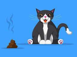 Home » kucing lucu » cara melatih kucing agar tidak berperilaku nakal. Petua Elak Kucing Berak Merata Rata Dan Cara Hilangkan Bau Tahi Kucing