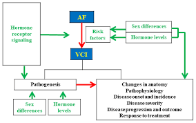 IJMS | Free Full-Text | Revealing the Influences of Sex Hormones and Sex  Differences in Atrial Fibrillation and Vascular Cognitive Impairment