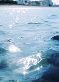 Newcastle Website Design Nature Mental Vacation Water