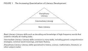 What Is Disciplinary Literacy Anyway Learning Science Literacy Reading Instruction