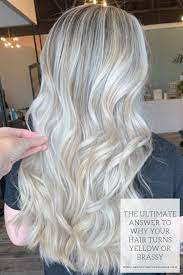 The Ultimate Answer To Why Blonde Hair Turns Yellow Or Brassy Beauty And The Blonde White Blonde Hair Blonde Foils Blonde