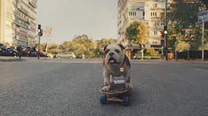 The name of the song is unsquare dance and it was released in 1962. Skateboarding Dogs And An Invitation To Chill It S The Churchill Rebrand