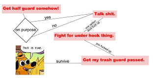 Bumptys Halfguard Reality As Visualized By A Flow Chart Bjj