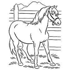 One of the earliest tactics parents and teachers use in language development is naming animals. Top 10 Free Printable Farm Animals Coloring Pages Online
