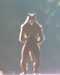Over the past 48 hours, a disturbing piece of footage allegedly captured  near the eastern boundary of Olympic National Park, Washington has begun  circulating rapidly online. The video, recorded by a pair