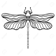 Best dragonfly coloring page 99 for coloring pages for adults with. Doodles Design Of Dragonfly Design Element Adult Coloring Book Pages Design For Tattoo Greeting Card T Shirt Fabric Bag Poster Insect Collection Antistress Royalty Free Cliparts Vectors And Stock Illustration Image 144841214