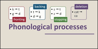 phonological processes