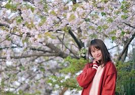 Hidup sederhana dan hacks tips gadis. Ini Jadwal Lengkap Musim Sakura Jepang Tahun 2019