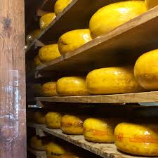 Backyard ultra comes to south africa in an exciting national series format and will take participants to 5 locations around the country each with varying terrain and unique challenges. Things To Do On A Sunday Visit The Cheese Farm In Magaliesberg Minkys