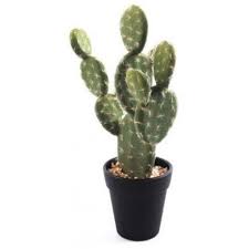 Some preliminary evidence shows that prickly pear cactus can decrease blood sugar. Or0832 Prickly Pear Cactus In Pot 26cm 37312 Homeware Artificial Flowers Gainsborough Giftware Ltd