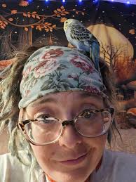 Baby bird wing stretching after horrible clipping