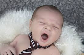 Fontaine Photography