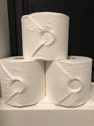 Pixie Stamp All The Loo Rolls Paper Towel Best Paper Towels Makeup Storage Hanging