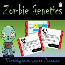 This is the first worksheet in the squirrel genetics series of products. Monohybrid Crosses Worksheets Teaching Resources Tpt