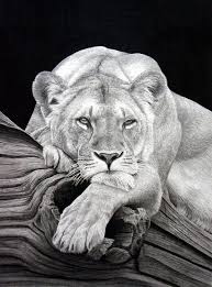 Easy techniques for drawing people, animals and more. 40 Realistic Animal Pencil Drawings Realistic Animal Drawings Realistic Drawings Animal Drawings