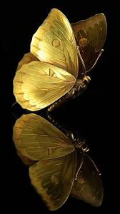Download Golden Butterfly Wallpaper Hd 444x794 Download Hd Wallpaper Wallpapertip